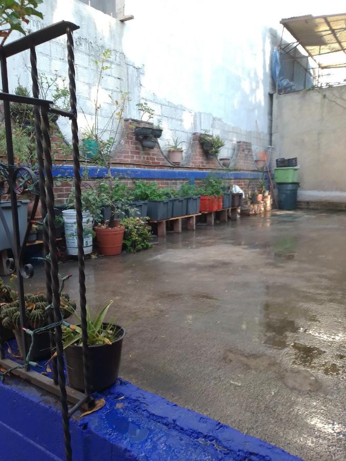Coyoacan Departamento Tipo Colonial Mexico City Exteriör bild