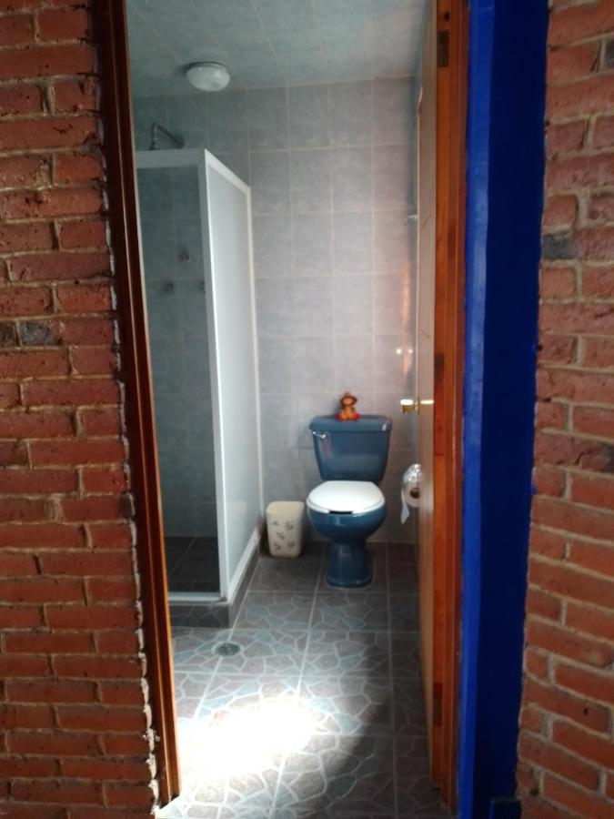 Coyoacan Departamento Tipo Colonial Mexico City Exteriör bild