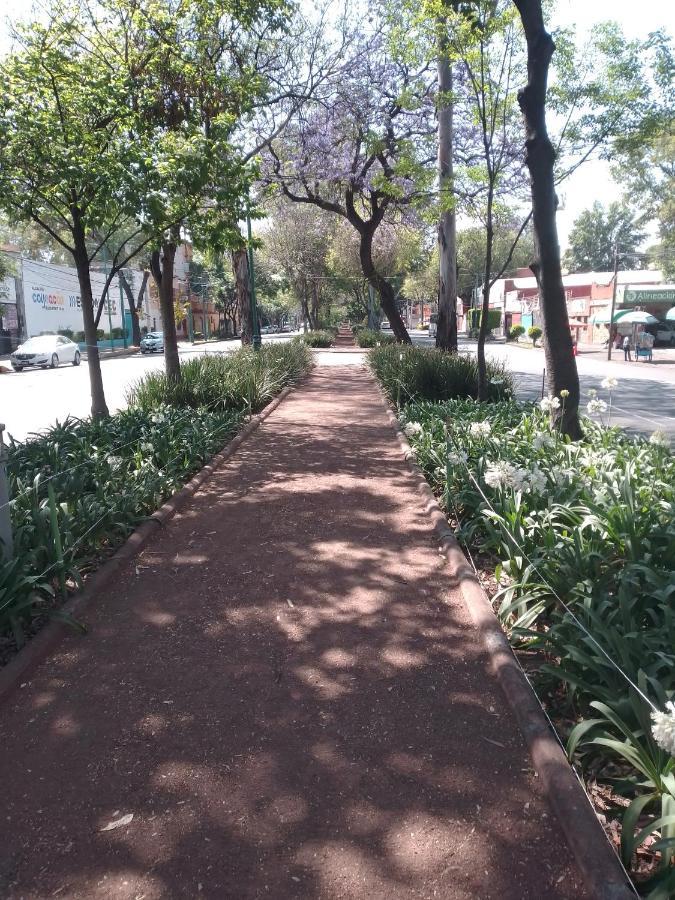 Coyoacan Departamento Tipo Colonial Mexico City Exteriör bild